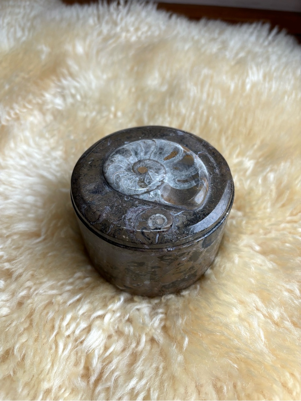 Natural Stone and Fossil Trinket Box